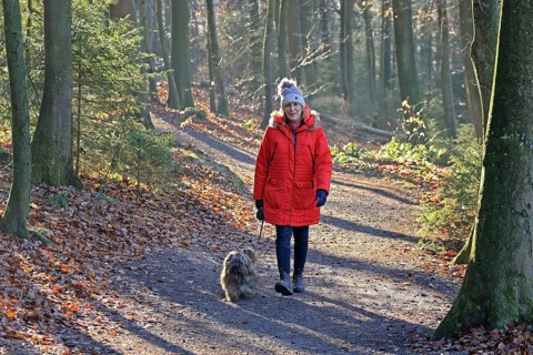 Woman walking through the winter forest with dog, back light
