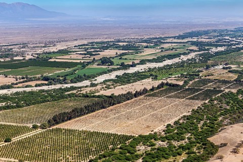 Diverse agricultural landscape with green and brown fields, surrounded by trees and mountains on