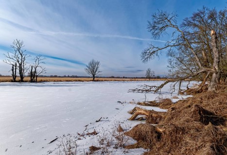 Ice and snow-covered foothills of the Oder in the area of the Schwedt lock in the Lower Oder Valley