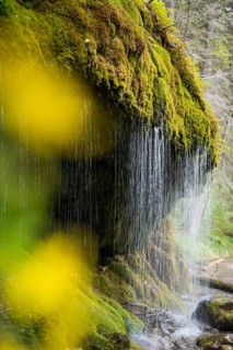 Moss-covered rocks and waterfall, Wutach Gorge, Bonndorf, Baden-Württemberg, Black Forest, Germany