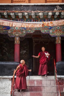 SPITUK, INDIA, SEPTEMBER 6, 2011: Tibetan Buddhist monks ascending the stairs in Spituk monastery.