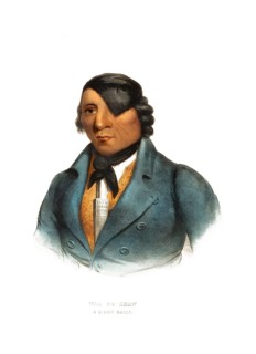 American Indian, Native American, Waa-Pa-Shaw, Chief of the Sioux Tribe, United States of America,