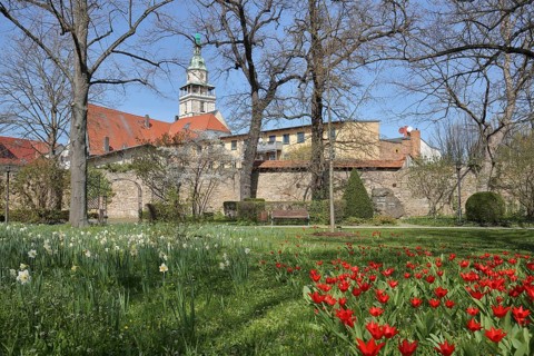 Historic city wall and spa park with tulips and daffodils in spring, St. Bonifacius market church,