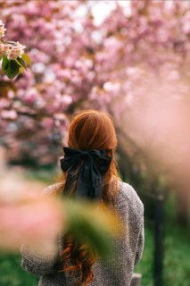 Back view of unrecognizable redhead woman enjoying pink cherry blossoms and tulips in a serene