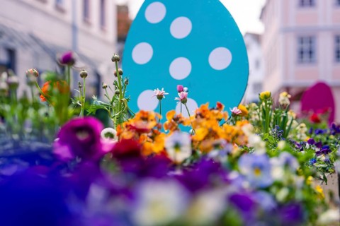 Vivid flowers in various colors in front of a blue Easter egg in an urban environment, Nagold, Calw