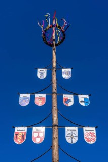 Guild tree, guild tree, guild sign, coat of arms of the various trades, in the Hochsauerlandkreis,