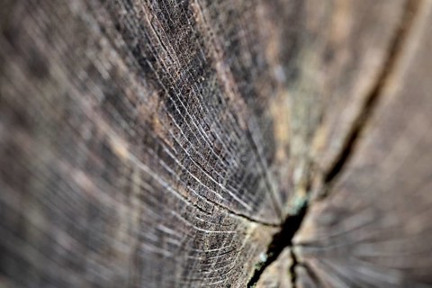 Wooden surface