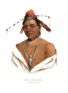 American Indian, Native American, Mar-Ko-Me-Te, a warrior of the Menomenes, United States of