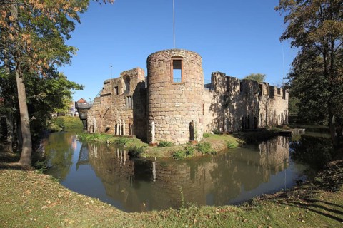 Moated castle, pond, Bad Vilbel, Hesse, Germany