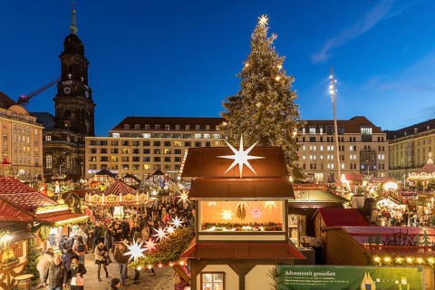 Christmas tree at the Striezelmarkt Christmas market on the Altmarkt in Dresden, in the background