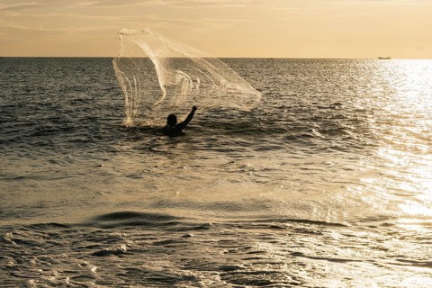 A lone fisherman skillfully casts a net into the shimmering sea as the sun sets, creating a golden