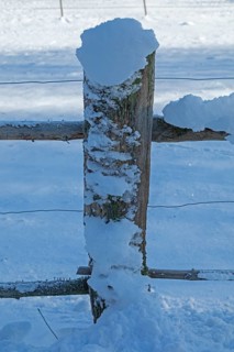 Snowy fence post, winter, snow, Sieversen, Samtgemeinde Rosengarten, Lower Saxony, Germany