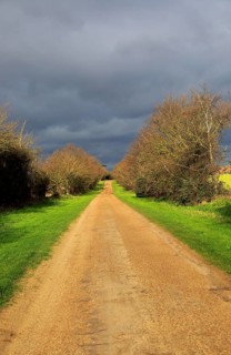 Long straight unsurfaced country road in winter sunshine, Sutton, Suffolk, England, UK