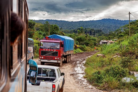 A truck and a pickup truck on a muddy country road surrounded by dense nature, traffic on Yungas