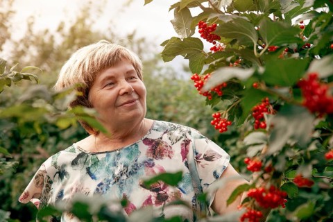 An elderly woman enjoys her lush garden in the Republic of Khakassia, South Siberia, Russia.