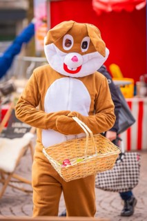 Man in rabbit costume holding a basket at an outdoor event, Easter campaign, Sindelfingen,