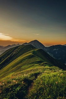 Hiking tour on the Hönig mountain in the Lechtal valley near Berwang in Tyrol, Austria