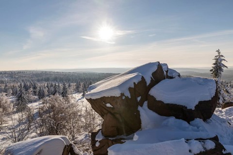 View from Großer Lugstein of the sunny winter landscape with snow-covered trees, bushes, trails and