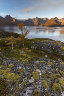 Fjord with steep mountains in autumn, morning light, clouds, Oksfjord, Finnmark, Norway