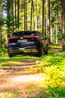 Black car in a sunlit forest, surrounded by green nature, Deer E- Carsharing, Calw, Black Forest,