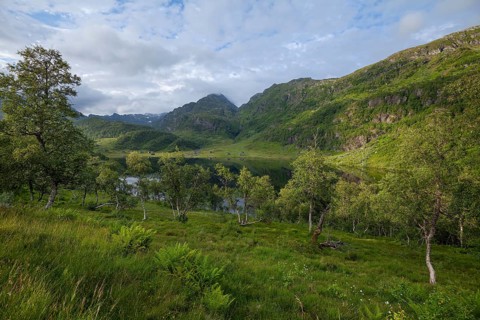 Summer view at Steinskvanndalsvatnet lake near Norheimsund, green mountains, birch forest and old