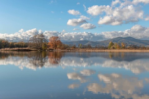 The river flows flat and reflects clouds and mountains under a clear sky. Autumn trees draw the