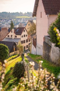 Scenic view of a village in a hilly landscape in golden spring light, Gechingen, Calw district,