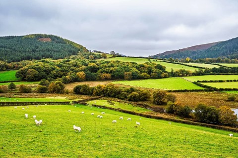 Autumn colors over Farms and Fields, Wales, UK
