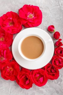 Red rose flowers in a spiral and a cup of coffee on a gray concrete background. Morninig, spring,