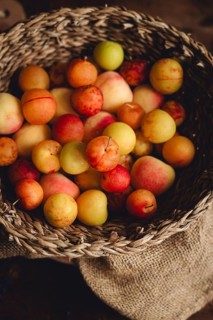 A rustic woven basket overflows with fresh, colorful plums. The varied hues of yellow, red, and