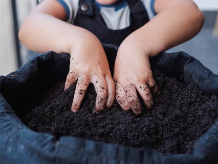 Cropped unrecognizable child with dirt-covered hands is planting seeds in a black grow bag. Kid