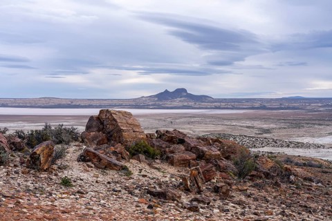 Petrified tree trunks in barren steppe landscape, distinctive table mountain under cloudy sky in
