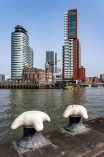 Kop van Zuid, Wilhelminapier, skyscrapers on the Nieuwe Maas, skyline of the city center, Rijnhaven