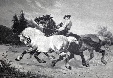 On the ride to the awards ceremony, a farmer brings a horse to a horse exhibition, 1890,