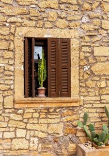 Cactus at the window of a Mediterranean house, Alcudia, Majorca, Spain