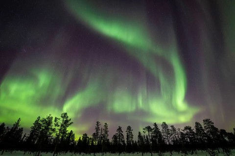 Northern Lights (Aurora borealis), Muddus National Park, Laponia World Heritage Site, Norrbotten,