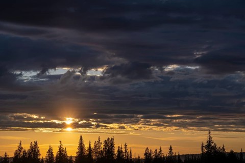 Evening mood, Gällivare, Norrbotten, Lapland, Sweden, June 2021