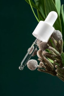 Transparent micellar water showcased in a sleek pipette bottle, delicately poised beside greenery