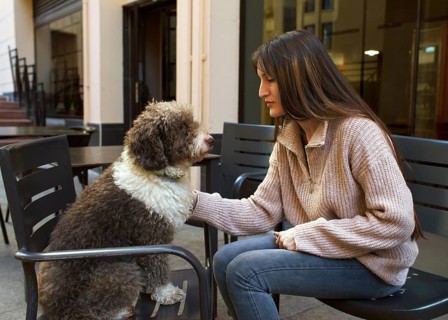 A young woman lovingly interacts with her dog while sitting in an outdoor urban cafe setting. Both