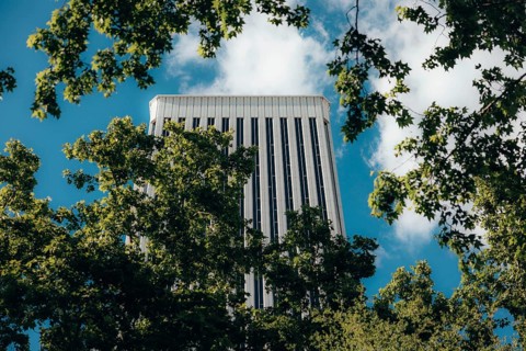 Torre Picasso skyscraper framed by lush green leaves and a bright blue sky. The contrast between