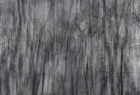 Abstract icy trees, wiping effect