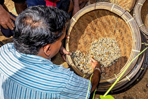 A man sorts rocks and sand in a basket, the sapphire and gemstone mines at Ratnapura in Sri Lanka