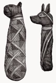 Mumien von Tieren, altes Ägypten, Illustration aus dem 19.