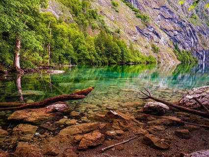Deadwood lies in the clear water of the Obersee lake near Königssee in the Berchtesgaden National