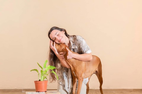 A young woman joyfully hugs her brown dog near a green potted plant in a moving house, inviting