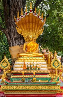 Statue of Buddha under the Bodhi tree, Wat Si Muang, Vientiane, Laos