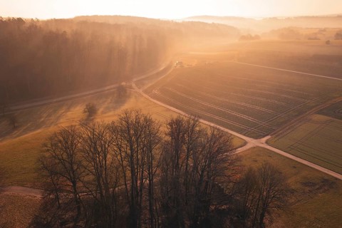 A rural road runs through foggy fields in the morning sun, Gechingen, Calw district, Germany