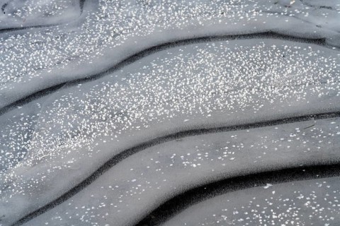 Frozen puddles
