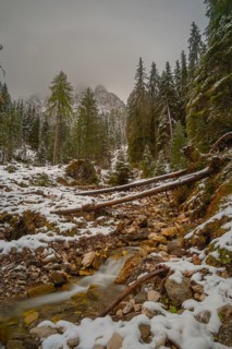 A wintry mountain landscape with fallen trees and a small stream, Peitlerkofelgruppe, Dolomites, St