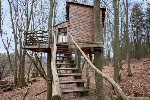 Treehouse hotel, Berlepsch, Witzenhausen, Hesse, Germany